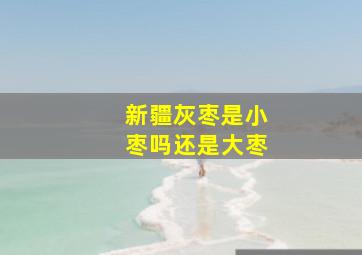 新疆灰枣是小枣吗还是大枣