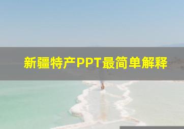 新疆特产PPT最简单解释