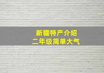 新疆特产介绍二年级简单大气