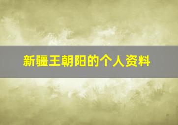 新疆王朝阳的个人资料