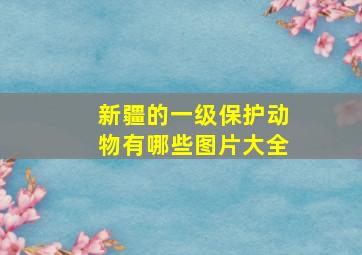 新疆的一级保护动物有哪些图片大全