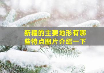 新疆的主要地形有哪些特点图片介绍一下