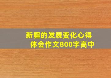 新疆的发展变化心得体会作文800字高中