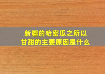 新疆的哈密瓜之所以甘甜的主要原因是什么