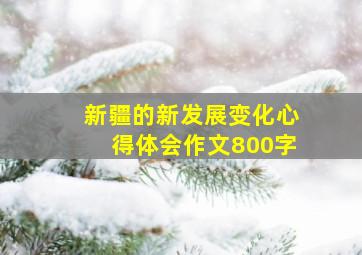 新疆的新发展变化心得体会作文800字