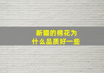 新疆的棉花为什么品质好一些