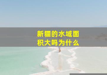 新疆的水域面积大吗为什么