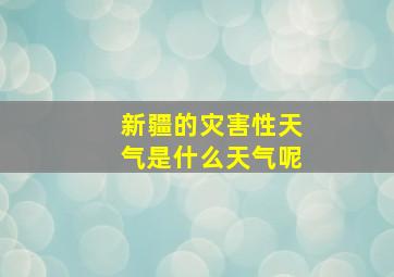 新疆的灾害性天气是什么天气呢