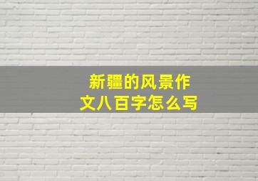 新疆的风景作文八百字怎么写