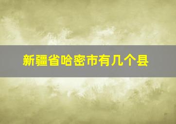 新疆省哈密市有几个县