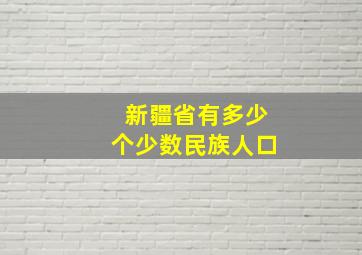 新疆省有多少个少数民族人口