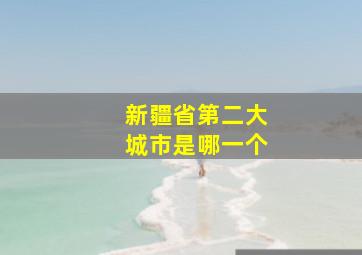 新疆省第二大城市是哪一个