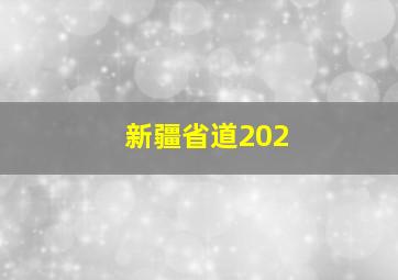 新疆省道202