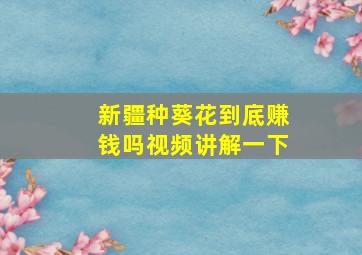 新疆种葵花到底赚钱吗视频讲解一下