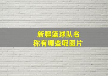 新疆篮球队名称有哪些呢图片