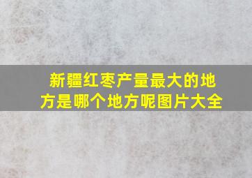 新疆红枣产量最大的地方是哪个地方呢图片大全