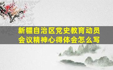 新疆自治区党史教育动员会议精神心得体会怎么写