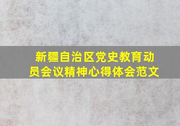 新疆自治区党史教育动员会议精神心得体会范文