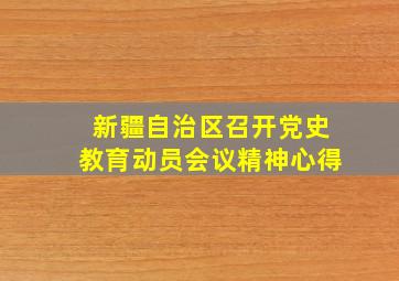 新疆自治区召开党史教育动员会议精神心得