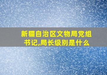 新疆自治区文物局党组书记,局长级别是什么