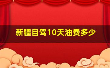 新疆自驾10天油费多少