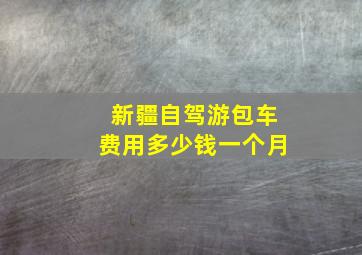 新疆自驾游包车费用多少钱一个月