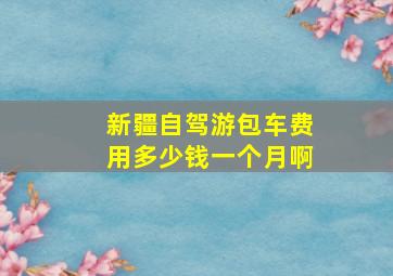 新疆自驾游包车费用多少钱一个月啊