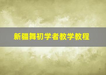 新疆舞初学者教学教程