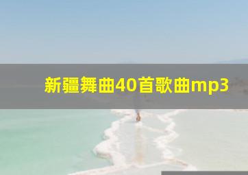 新疆舞曲40首歌曲mp3