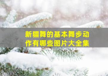 新疆舞的基本舞步动作有哪些图片大全集