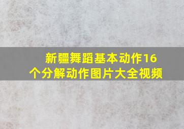 新疆舞蹈基本动作16个分解动作图片大全视频