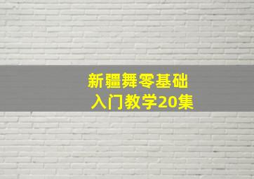 新疆舞零基础入门教学20集