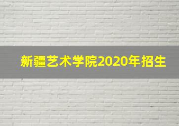 新疆艺术学院2020年招生