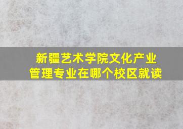 新疆艺术学院文化产业管理专业在哪个校区就读