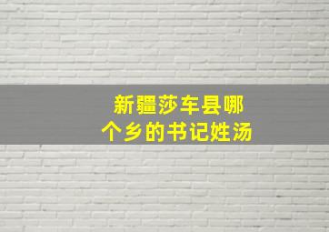 新疆莎车县哪个乡的书记姓汤