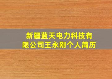 新疆蓝天电力科技有限公司王永刚个人简历