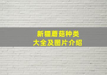 新疆蘑菇种类大全及图片介绍