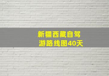 新疆西藏自驾游路线图40天