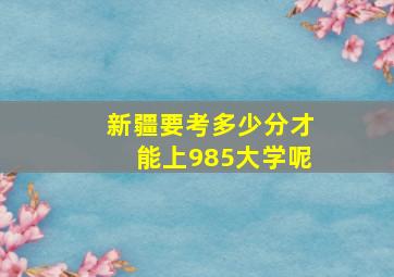 新疆要考多少分才能上985大学呢