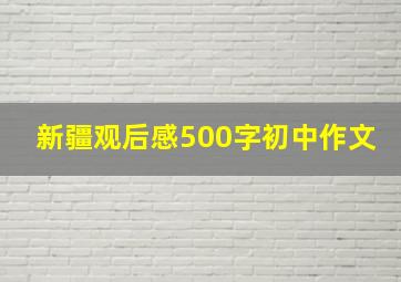 新疆观后感500字初中作文