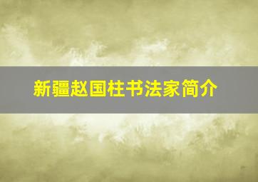 新疆赵国柱书法家简介