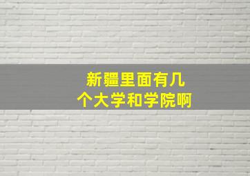 新疆里面有几个大学和学院啊