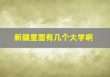 新疆里面有几个大学啊