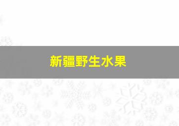 新疆野生水果