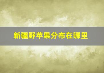 新疆野苹果分布在哪里