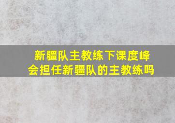 新疆队主教练下课度峰会担任新疆队的主教练吗