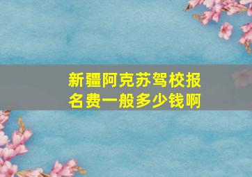 新疆阿克苏驾校报名费一般多少钱啊