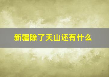 新疆除了天山还有什么