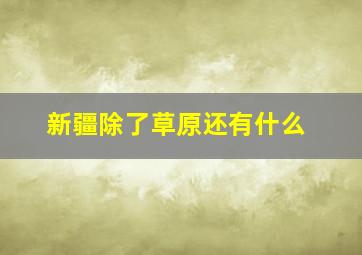 新疆除了草原还有什么