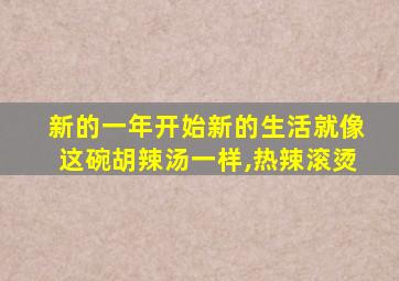 新的一年开始新的生活就像这碗胡辣汤一样,热辣滚烫